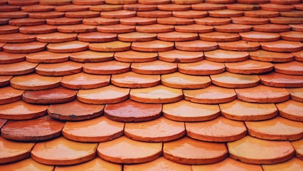 Pattern background abstract 
