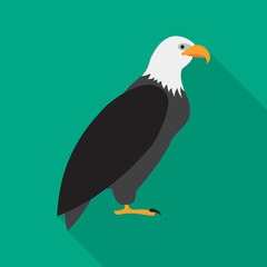 Fototapeta premium Eagle flat icon on isolated transparent background. 