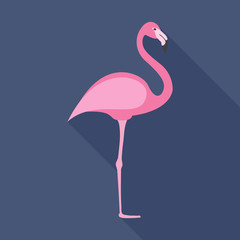 Flamingo flat icon on isolated transparent background.	