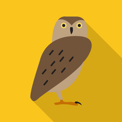 Owl flat icon on isolated transparent background.	