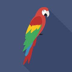 Parrot flat icon on isolated transparent background.	