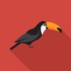 Toucan  flat icon on isolated transparent background.	