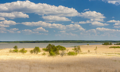Beautiful view of the lake Łebsko
