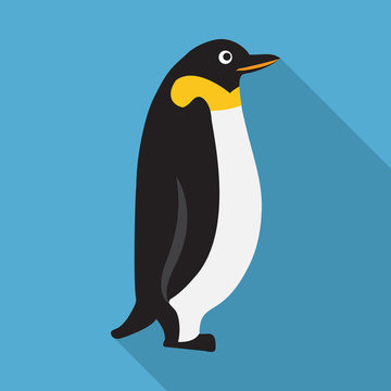 Penguin flat icon on isolated transparent background.	
