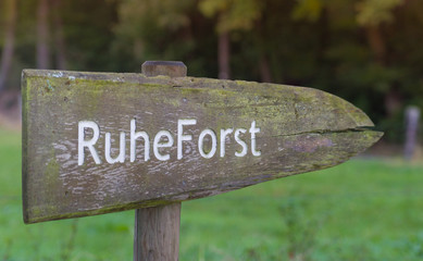 Ruheforst