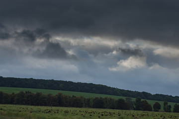 Obraz premium September landscape