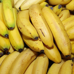 Bananas