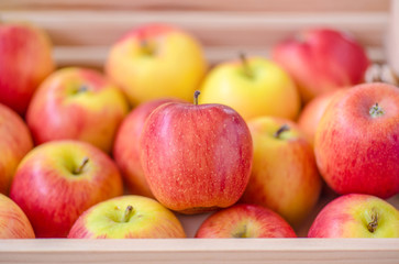 Apple in a wooden crate