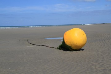 gelbe Boje am Strand bei Ebbe