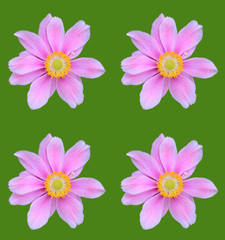 Abstract creative floral scene 