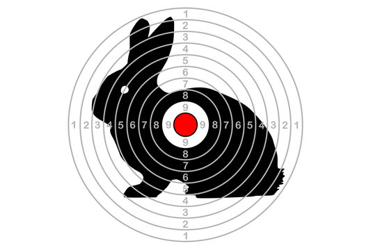 The target vector hare