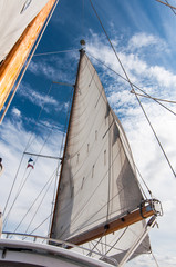 Fototapeta premium Majestic sails on an authentic sailboat.ith blue skies