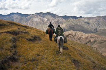 Hunters two horses returned with a trophy after a hunt
