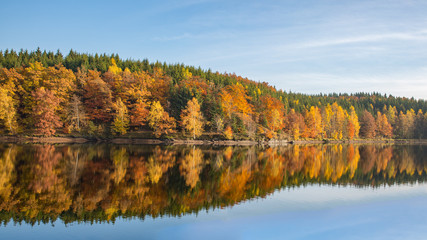 Herbst am Frankenteich im Südharz