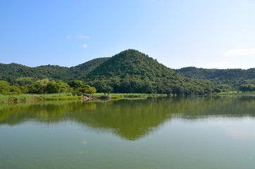 Fototapeta premium 京都 広沢池