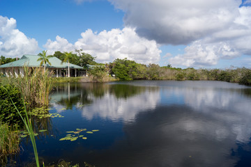 Excursion to the Everglades
