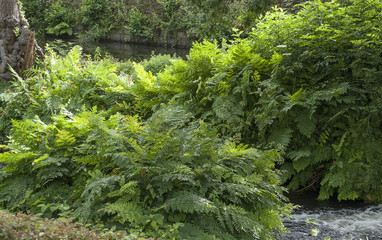 around Aven river at Pont-Aven in Brittany