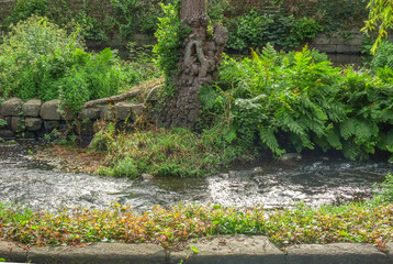 Aven river at Pont-Aven in Brittany