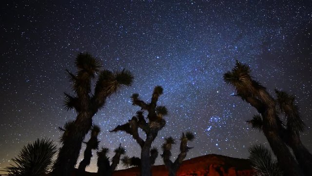 Astro Time Lapse of Constellation Orion Setting over Joshua Tree -Pan Right-