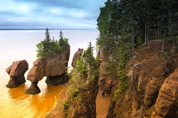 Hopewell Rocks