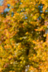 Blurred abstract background