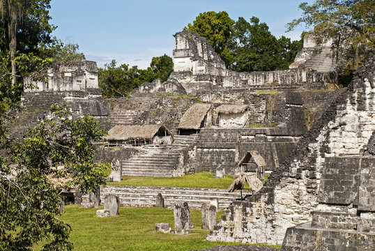 Maya acropolis in Tikal