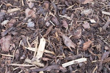 Rindenmulch / viel Rindenmulch