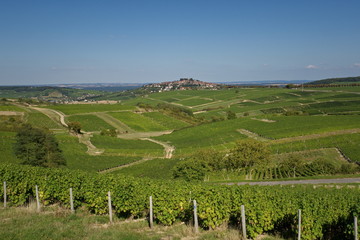 vignoble Sancerrois 