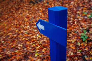 blue road sign arrow in the autumn forest
