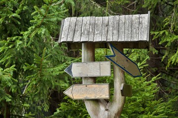 old wood sign in nature