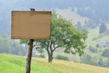 old wood sign in nature