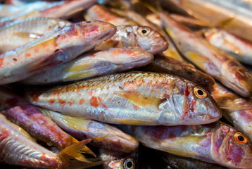 Fresh fish mullet vulgaris (red mullet) lies on the counter