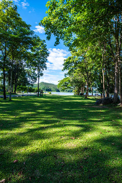 Landscape View of Mae Puem National Park