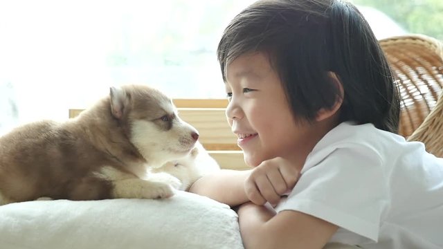 Cute asian child playing with siberian husky puppy..