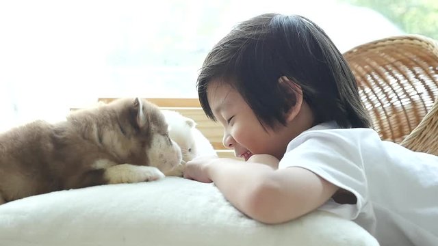 Cute asian child playing with siberian husky puppy..