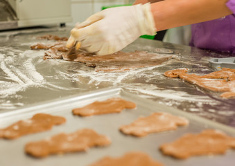 woman making gingerbread and cookies