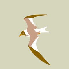 Bird seagull flying vector illustration style Flat