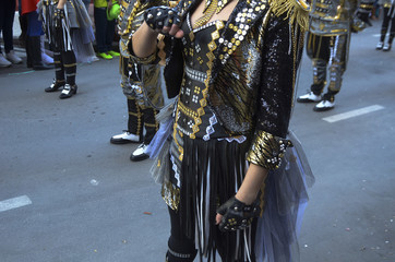 DESFILE CARNAVAL CARROZAS