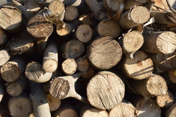 Texture of firewood