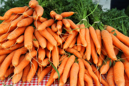 Piles of fresh raw bunches of carrots with stalks