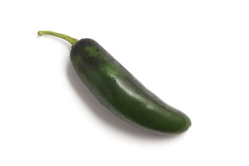 Fresh Jalapeno Pepper