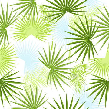 Leaves of palm tree seamless pattern 