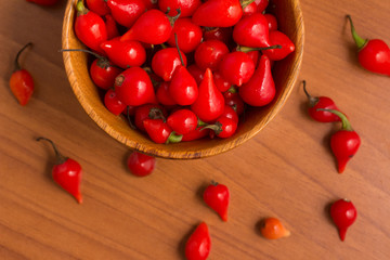 Biquinho Pepper into a bowl. Capsicum Chinense