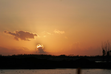 Sunset near Tampa Florida
