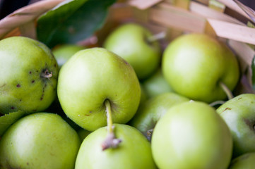 Basket of green apples