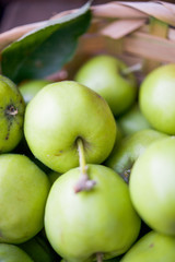 Basket of green apples