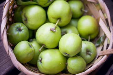 Basket of green apples