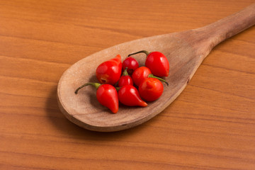 Biquinho Pepper into a spoon. Capsicum Chinense