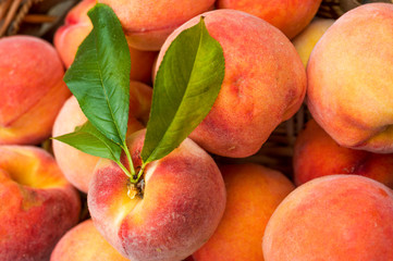 Fototapeta na wymiar Close up of ripe peaches in a basket