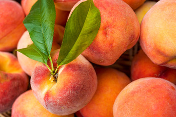 Close up of ripe peaches in a basket